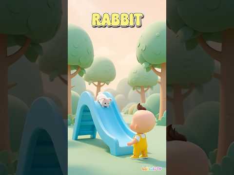 Learn Letters M to R for Kindergarten Fun
