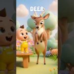 Baby Reacts to Cute Animals | Fun Learning Time