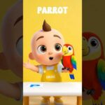 Letters M to R Alphabet Song for Kids