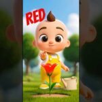 Color Song with Flowers | Red Yellow Blue Fun