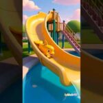 Name Dolphin Colors Challenge Kids