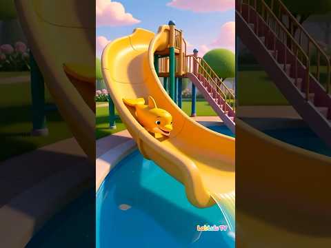Name Dolphin Colors Challenge Kids